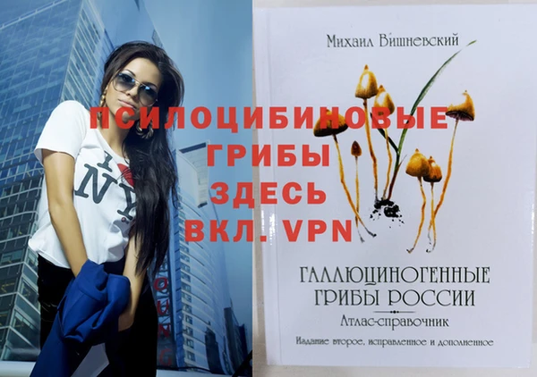 кокаин перу Краснослободск