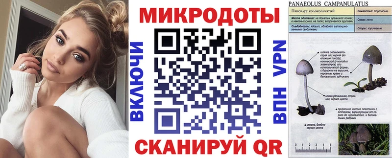 Галлюциногенные грибы Psilocybine cubensis  Купить где  Симферополь 